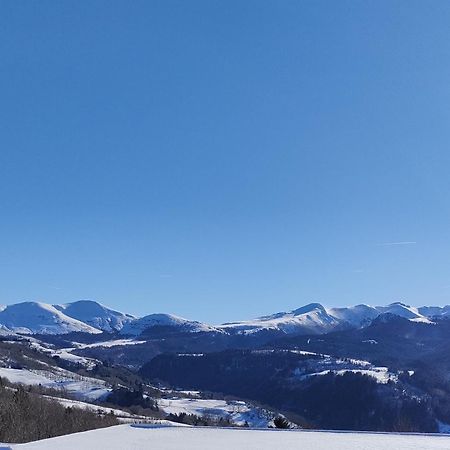 Grand Appartement Vue Magnifique Murat-le-Quaire 外观 照片